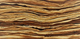 Themenspecial: Kleine Geschichte des Papiers I Kleine Geschichte des Papiers I Quelle: pixabay.de