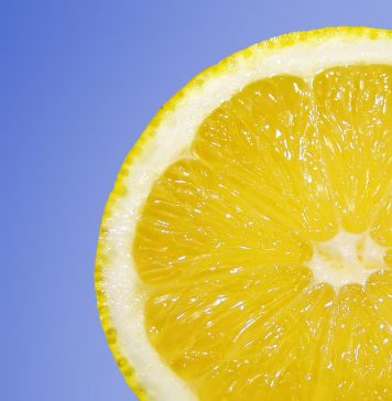 La Fête du Citron: das Zitronenfest in Menton Das französische Fete du Citron widmet sich voll und ganz der gelben Frucht. Quelle: pixabay.de