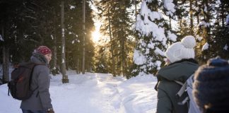 Aktivitäten im Meraner Land Im Skigebiet Vigiljoch im Meraner Land kann man auch wandern gehen. Quelle: MGM