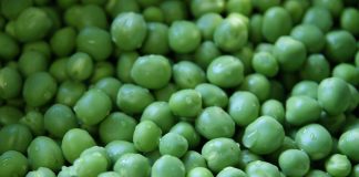 Hülsenfrüchte – das Fleisch der Zukunft Quelle: Pixabay.com