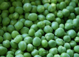 Hülsenfrüchte – das Fleisch der Zukunft Quelle: Pixabay.com