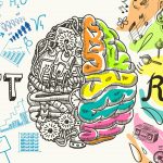 Das Gehirn spielt eine ganz zentrale Rolle in unseren täglichen Abläufen. Bildquelle: Shutterstock.com