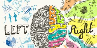 Fit im Kopf: Wie funktioniert eigentlich das Gehirn? Das Gehirn spielt eine ganz zentrale Rolle in unseren täglichen Abläufen. Bildquelle: Shutterstock.com