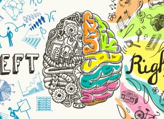 Fit im Kopf: Wie funktioniert eigentlich das Gehirn? Das Gehirn spielt eine ganz zentrale Rolle in unseren täglichen Abläufen. Bildquelle: Shutterstock.com