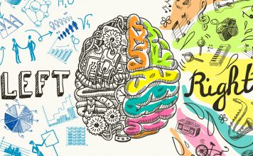 Fit im Kopf: Wie funktioniert eigentlich das Gehirn? Das Gehirn spielt eine ganz zentrale Rolle in unseren täglichen Abläufen. Bildquelle: Shutterstock.com