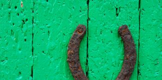 Anleitung zum Glück Glück. Quelle: Shutterstock.com