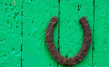 Anleitung zum Glück Glück. Quelle: Shutterstock.com