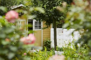 Der Bienenstock im Garten von Dr. Bee. Quelle: Bine Bellmann