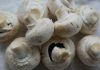 Rezeptvorschlag: Fischpfanne mit Peperoni und Champignons Quelle: Pixabay.de
