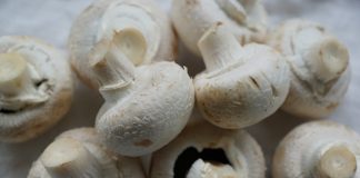 Rezeptvorschlag: Fischpfanne mit Peperoni und Champignons Quelle: Pixabay.de