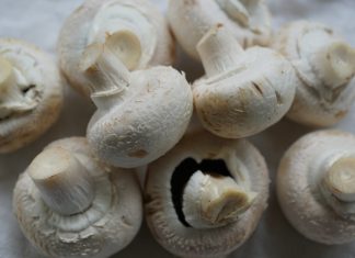 Rezeptvorschlag: Fischpfanne mit Peperoni und Champignons Quelle: Pixabay.de
