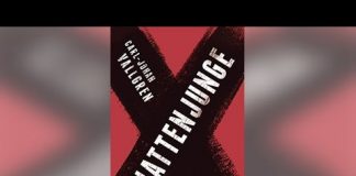 Spurlos verschwunden: Schattenjunge Buchtalk: Schattenjunge. Quelle: 59plus