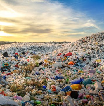 Die Zabaleen: Müllsammler in Kairo Die Zabaleen sammeln und sortieren jährlich tausende Tonnen von Müll. Quelle: Shutterstock.com