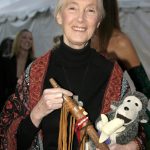 Dr. Jane Goodall auf einer ihrer unzähligen Vortragsreisen. Bildquelle: Shutterstock.com