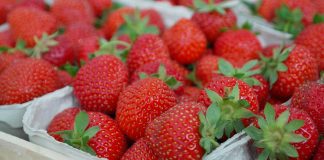 Fluch und Segen – Obst und Gemüse ganzjährig verfügbar Quelle: Pixabay.com