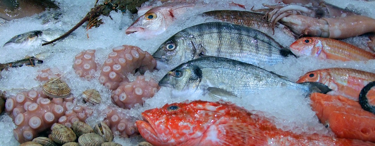 Fisch ist nicht nur lecker, sondern auch sehr gesund. Quelle: Shutterstock.com