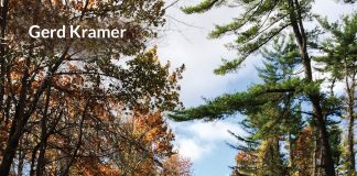 Buchtipp: Der Weg des Frosches – Wer bin ich? Der Weg des Frosches - Wer bin ich? Eine Reise zu sich selbst. Quelle: Gerd Kramer