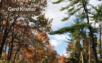 Buchtipp: Der Weg des Frosches – Wer bin ich? Der Weg des Frosches - Wer bin ich? Eine Reise zu sich selbst. Quelle: Gerd Kramer