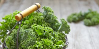 Das Winterwunder Grünkohl sorgt für gute Laune Besonders Grünkohl eignet sich zum Einfrieren, ist jedoch aauch ein klassisches Winteressen. Bildquelle: shutterstock.com