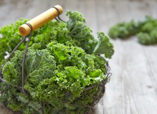 Das Winterwunder Grünkohl sorgt für gute Laune Besonders Grünkohl eignet sich zum Einfrieren, ist jedoch aauch ein klassisches Winteressen. Bildquelle: shutterstock.com