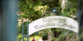 Fünf barrierefreie Tage im Meraner Land Der Tappeinerweg lädt zu einem gemütlichen Spaziergang ein. - Kurverwaltung Meran / Alex Filz