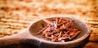 So riecht der Herbst! Diese Parfums sollten Sie jetzt tragen Sandelholz