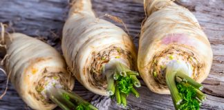 In Vergessenheit geraten – Pastinaken Pastinaken. Quelle: Shutterstock.com