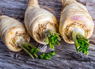 In Vergessenheit geraten – Pastinaken Pastinaken. Quelle: Shutterstock.com