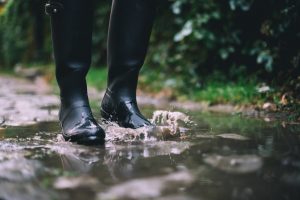 Die Shetland Inseln - Natur und Kultur für Wetterfeste. Quelle: Shutterstock.com