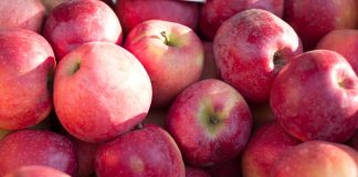 Winterobst: Fitmacher Apfel & Co Fit durch den Winter mit Apfel & Co.! Quelle: Pixabay.de