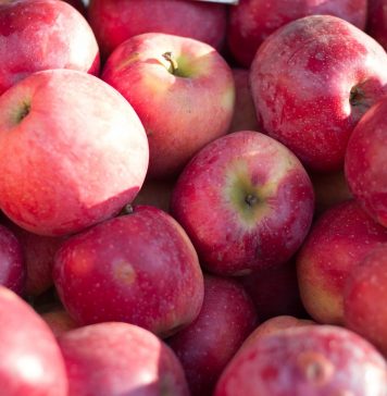 Winterobst: Fitmacher Apfel & Co Fit durch den Winter mit Apfel & Co.! Quelle: Pixabay.de