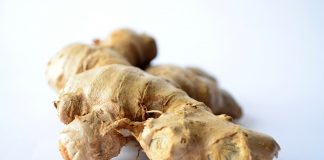 Ingwer – die gesunde Wunderwurzel und ihre vielfältige Wirkung Ingwer als Knolle. Quelle: Pixabay.com