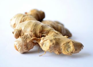 Ingwer – die gesunde Wunderwurzel und ihre vielfältige Wirkung Ingwer als Knolle. Quelle: Pixabay.com