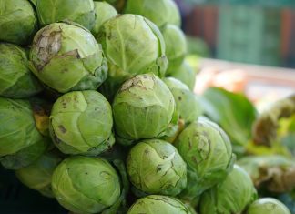 Rosenkohl – gesund und schmackhaft Rosenkohl. Quelle: Pixabay.com