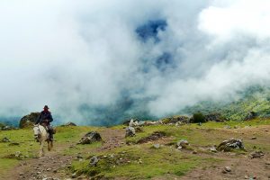 Von dem Geld, dass Douglas Tompkins für den Verkauf seiner Modemarken erhielt kaufte er riesige Landflächen in Argentien und Chile. Quelle. pixabay.de