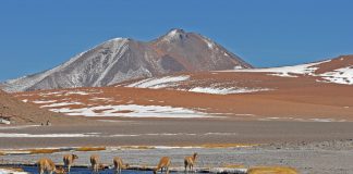 Douglas Tompkins – vom Kapitalisten zum Umweltaktivisten Douglas Tompkins Ländereien in Chile. Quelle. pixabay.de