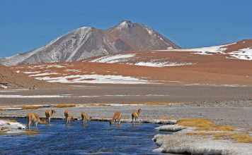 Douglas Tompkins – vom Kapitalisten zum Umweltaktivisten Douglas Tompkins Ländereien in Chile. Quelle. pixabay.de