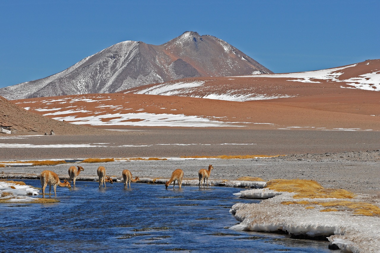 Douglas Tompkins Ländereien in Chile. Quelle. pixabay.de