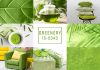 Trendfarbe Greenery: Es grünt so grün … "Greenery" die neue Trendfarbe für das Jahr 2017. Quelle: Shutterstock.com