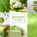 “Greenery” die neue Trendfarbe für das Jahr 2017. Quelle: Shutterstock.com