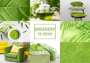 "Greenery" die neue Trendfarbe für das Jahr 2017. Quelle: Shutterstock.com