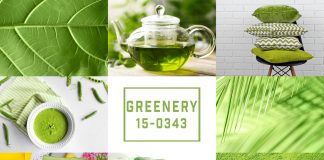 Trendfarbe Greenery: Es grünt so grün … "Greenery" die neue Trendfarbe für das Jahr 2017. Quelle: Shutterstock.com