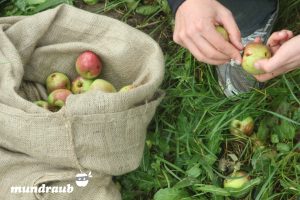 Die Idee sparrt Geld, sowie wertvolle Obstreserven. Bildquelle: mundraub.org