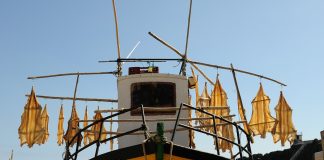 Madeira: eine Urlaubsinsel für alle Jahreszeiten Ein beliebtes und sehenswertes Ganzjahresreiseziel: Madeira. Bildquelle: Pixabay.de