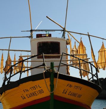 Madeira: eine Urlaubsinsel für alle Jahreszeiten Ein beliebtes und sehenswertes Ganzjahresreiseziel: Madeira. Bildquelle: Pixabay.de