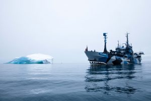 Das Sea Sheperd Schiff "Bob Barker" vor einem Eisberg. Quelle: Sea Sheperd