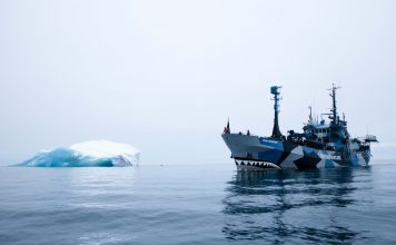 Sea Sheperd’s Einsatz für das Ökosystems Das Sea Sheperd Schiff "Bob Barker" vor einem Eisberg. Quelle: Sea Sheperd