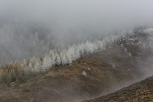 Eindrucksvolle Naturfotografien sind sein Markenzeichen. Gerhard Richter in Patagonien. Bildquelle: fischerphotos.com