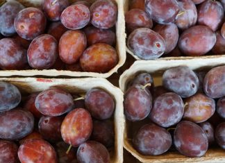 Im September ist Pflaumen-Saison! Jetzt im September kehren die Pflaumen an die Fruchttheken zurück. Quelle: pixabay.de