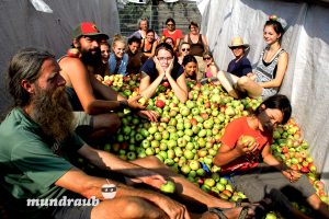 Das Mundraub Team erstellte eine Onlinekarte, die Obstbäume und -sträuche in der Nähe anzeigt. Bildquelle: mundraub.org